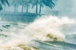 Dự báo số cơn bão đầu mùa 2026, xu hướng khắc nghiệt rõ nét