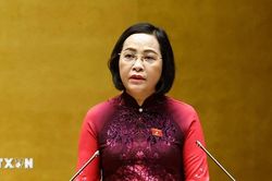 '500 đại biểu đều bảo đảm tiêu chuẩn, đủ tư cách đại biểu Quốc hội XVI'