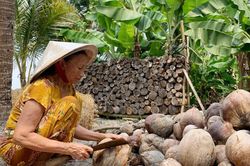 Dừa rớt giá, nỗi lo kéo dài
