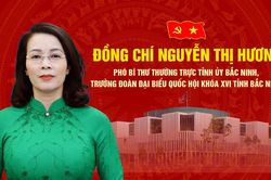 Đồng chí Nguyễn Thị Hương, Phó Bí thư Thường trực Tỉnh ủy, Trưởng Đoàn ĐBQH khóa XVI tỉnh Bắc Ninh