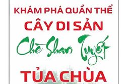 Điện Biên số hóa đến từng gốc cây trồng