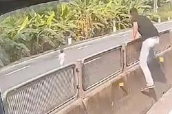 Tài xế dừng xe giữa quốc lộ cứu bé gái được CSGT biểu dương và không bị phạt