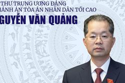 Infographic: Tiểu sử tóm tắt Chánh án Tòa án nhân dân Tối cao Nguyễn Văn Quảng