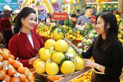 Bắc Ninh: Chi hơn 14 tỷ đồng đẩy mạnh các hoạt động xúc tiến thương mại năm 2026