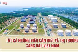 [Infographic] Những điều cần biết về thị trường xăng dầu Việt Nam