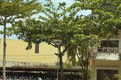 Nữ giáo viên bị phát tán hình ảnh nhạy cảm, hiệu trưởng nhà trường lên tiếng
