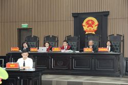 Giám đốc Công ty Hoàng Dân lĩnh án 14 năm tù