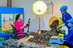 Chuyển đổi số: Nâng cao giá trị nông, thuỷ sản Cà Mau