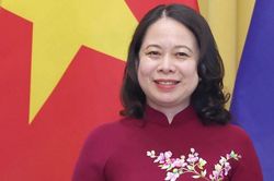 Bà Võ Thị Ánh Xuân tái đắc cử Phó Chủ tịch nước
