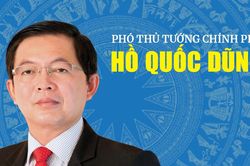Infographic: Tiểu sử tóm tắt Phó Thủ tướng Chính phủ Hồ Quốc Dũng