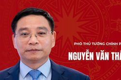 Tiểu sử Phó Thủ tướng Chính phủ Nguyễn Văn Thắng