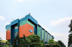 Gỗ Trường Thành (TTF) đặt chỉ tiêu lãi năm 2026, lỗ lũy kế vượt 3.250 tỷ đồng, bộ máy điều hành tiếp tục xáo trộn