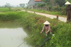 Người dân dùng nước ao hồ để sinh hoạt giữa nắng nóng gay gắt