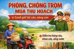 Xã Trường Xuân: Tăng cường phòng, chống trộm trong mùa thu hoạch