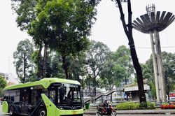 Miễn phí xe buýt tại TP.HCM: Gợi mở mô hình phát triển giao thông xanh ở các đô thị