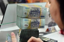 Ngừng sử dụng hóa đơn với hộ kinh doanh doanh thu dưới 500 triệu đồng/năm