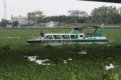 Người đàn ông đi xe máy đến cầu bất ngờ nhảy xuống, không ai kịp ngăn