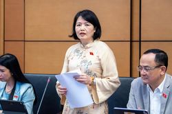 Đại biểu Quốc hội đề nghị nghiên cứu cấm hoặc hạn chế trẻ em sử dụng mạng xã hội