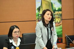 Quốc hội thảo luận tại tổ về 4 dự án luật liên quan trực tiếp đến quyền lợi của người dân trong đó có Luật Tiếp cận thông tin (sửa đổi)