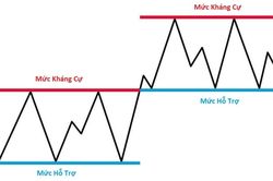 Hỗ trợ và kháng cự là gì? Cách xác định và giao dịch