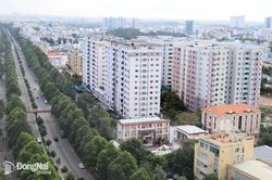 Hội tụ đầy đủ điều kiện để vươn tầm