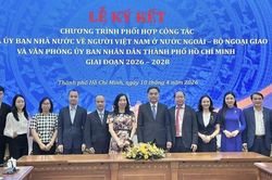 Đẩy mạnh toàn diện công tác đối với người Việt Nam ở nước ngoài, tạo động lực hiện thực hóa các mục tiêu phát triển của TP. Hồ Chí Minh và cả nước