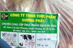 Khi đồng tiền 'ăn' mất lương tâm