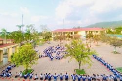 Hệ lụy từ sân trường thiếu bóng cây xanh