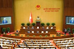 Quốc hội 'chốt' giảm thuế xăng, dầu