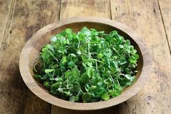 Loại rau nhiều người Việt 'né' nhưng Mỹ ca ngợi thuộc top tốt 'bậc nhất thế giới'