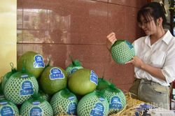 Đồng Tháp xuất khẩu lô bưởi đầu tiên sang thị trường Australia