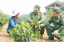 Khẳng định vai trò lực lượng chủ trì, nòng cốt, chuyên trách trong quản lý, bảo vệ chủ quyền lãnh thổ, an ninh biên giới quốc gia