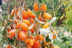 Café ngày mới: Đừng vô tình quên
