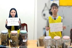 Hà Nội: Hai đối tượng trẻ sa lưới với gần 3,6kg cần sa