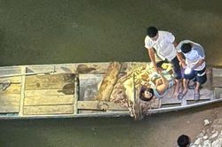 Người đàn ông lao xuống sông cứu hai mẹ con nhảy cầu ở Nghệ An