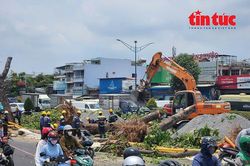 TP Hồ Chí Minh: Đốn hạ nhiều cây xanh phục vụ thi công nhà ga ngầm tuyến metro số 2