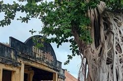 Côn Đảo - trường học Cách mạng của dân tộc Việt Nam: Kỳ 5: Lớp học văn hóa - chính trị ở Hòn Cau