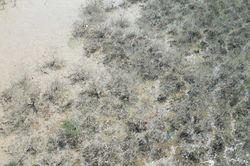 Cảnh tượng bất thường ven biển Hà Tĩnh: Đã có kết quả quan trắc môi trường nước