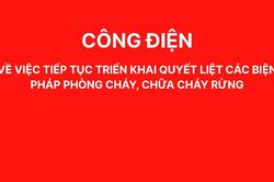 Công điện về việc tiếp tục triển khai quyết liệt các biện pháp phòng cháy, chữa cháy rừng