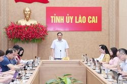 Giao ban khối c&aacute;c ban v&agrave; cơ quan x&acirc;y dựng Đảng tỉnh
