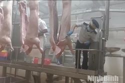 Ninh Bình: Siết chặt công tác kiểm soát giết mổ động vật