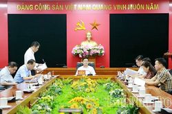 UBND tỉnh nghe báo cáo tình hình triển khai một số dự án phát triển đô thị