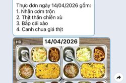 Phía sau những suất ăn bán trú: Nhiều bất thường bị phơi bày