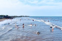 Ninh Bình đánh thức mùa du lịch biển 2026 với nhiều hoạt động đặc sắc