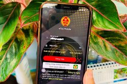 Bị khai khống thu nhập trên eTax Mobile, người nộp thuế cần làm gì?