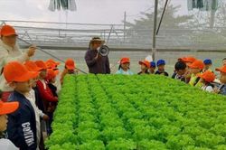 Động lực từ chuyển đổi số