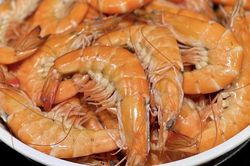 Luộc tôm bao nhiêu phút để giữ được độ tươi và vị ngọt tự nhiên?
