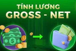 Tính lương Net từ Gross như thế nào? Công thức và cách tính nhanh năm 2026