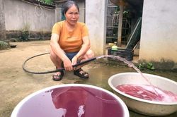 Nước giếng chuyển màu tím bất thường, người dân phải mua nước bình về dùng