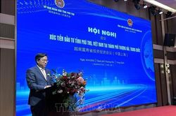 Phú Thọ xúc tiến đầu tư với 39 doanh nghiệp lớn của Thượng Hải (Trung Quốc)